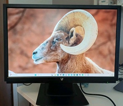 Monitor 22 zoll V7 (Videoseven) TFT LCD Monitor