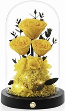 Preserved Roses Flowers for Delivery, Yellow Forever Flores in Glass Dome for...