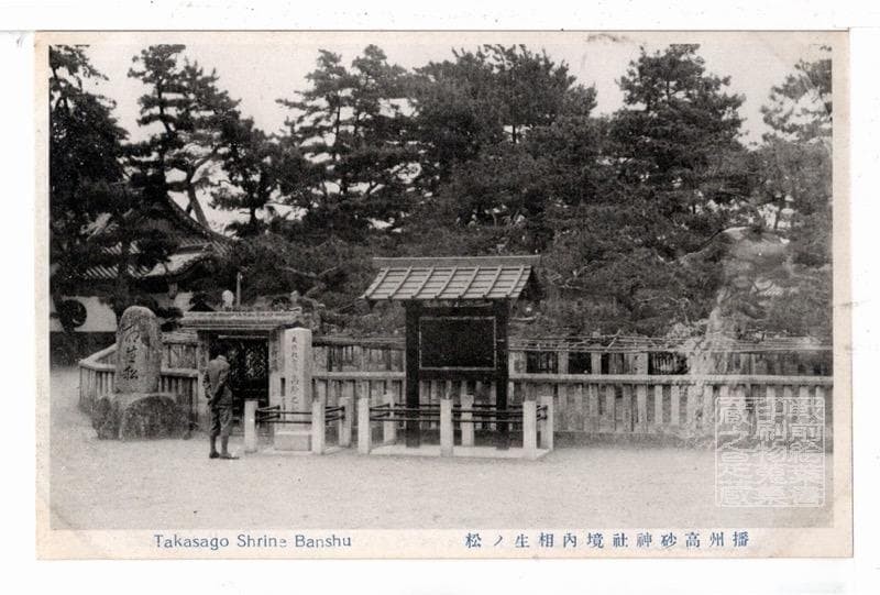 Hyogo prewar postcard Banshu Takasago Shrine Aioi pine used