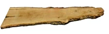 1 White Oak Live Edge Large Slab Milled Kiln Dried 51"L X 15"W At Base X 1"T