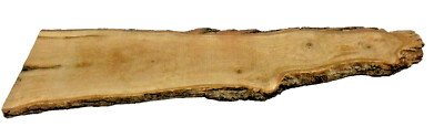 1 White Oak Live Edge Large Slab Milled Kiln Dried 51''L X 15''W At Base X 1''T