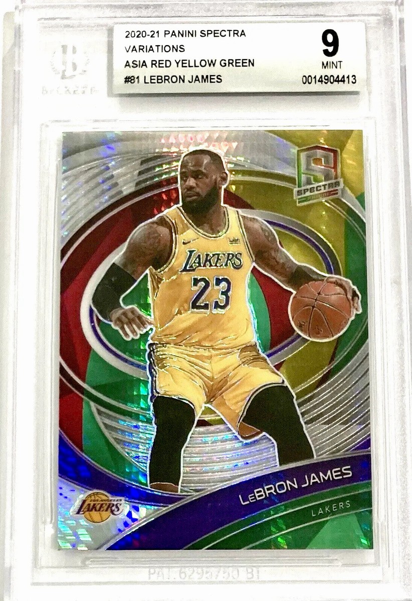 NBA NBAカード LeBron James 199シリ 激レア カードLebron James RC