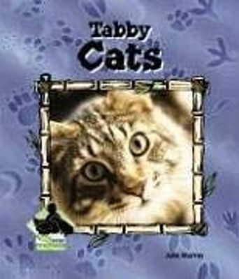 Tabby Cats Hardcover Julie Murray