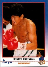 1991 Kayo Boxing - Luisito Espinosa