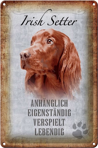 Schild Blech 20X30Cm - Made In Germany - Spruch Irish Setter Hund Metall Deko Sc-image