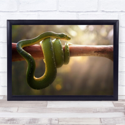 Tree Snake Curl Curly Loop Coil Branch Animal Wall Art Print