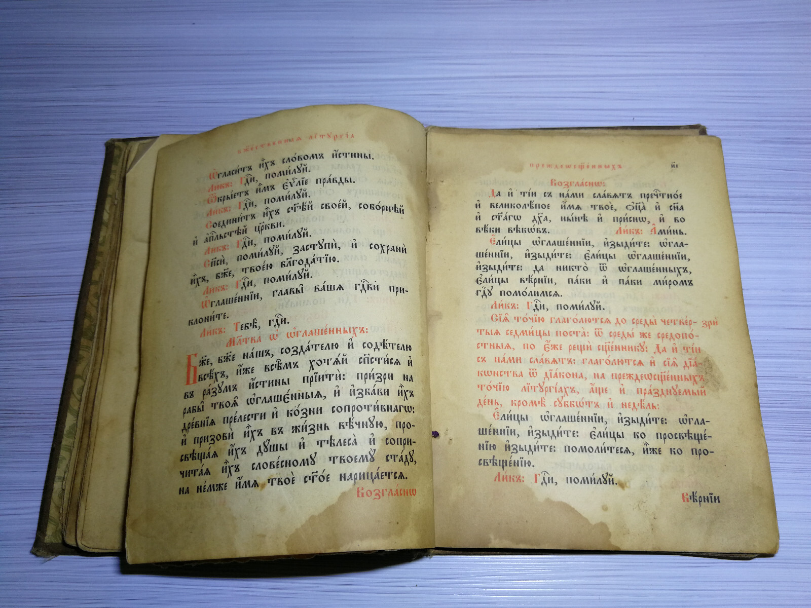 Bild 6 von 16