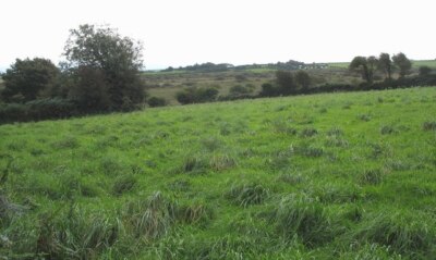 Foto 6x4 Weideland über dem Cors Bodwrog Fen Llynfaes Die Karawane Gr. 2008