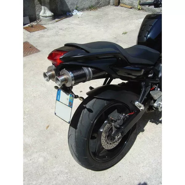 Exhaust Ends Yamaha Fazer 600 Fz 6 fz6 s1 s2 Titanium Carbon Excl