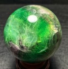 Bild 7 von 12