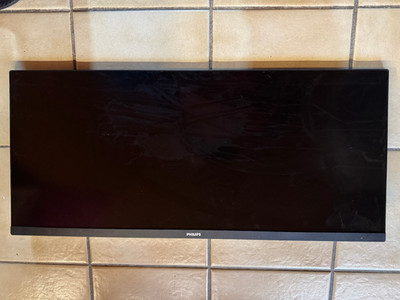 DEFEKT Philips 346E2LAE 34 Zoll LCD - Schwarz - nur Teile