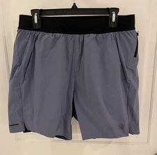 NWOT Whoop Shorts Mens L Purple Blue 4.0 Any Wear Lined Athletic Performance