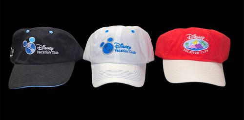 Disney Vacation Club DVC Member 