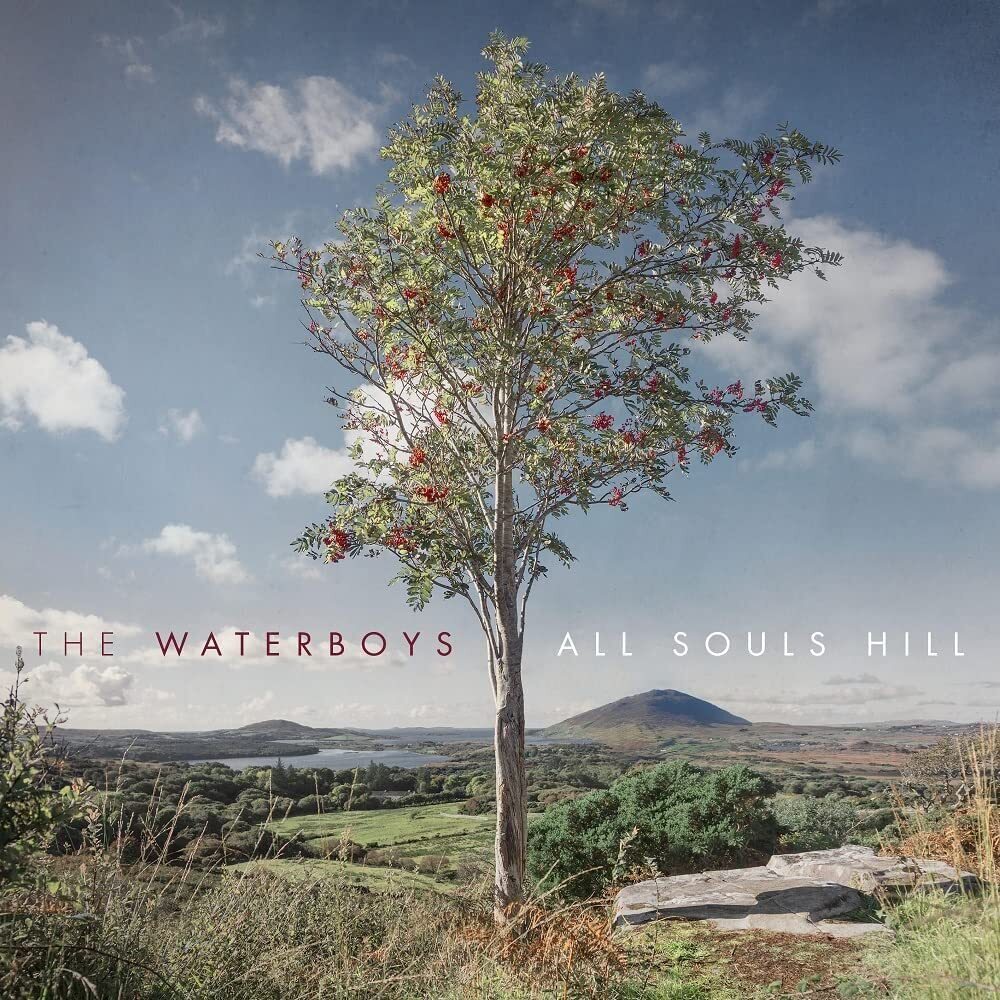 欧LP The Waterboys All Souls Hill COOKLP819 Cooking Vinyl 未開封 /00260 The Waterboys All Souls Hill 1LP Vinyl 2022 Cooking Vinyl | eBay