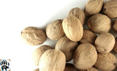 Nutmeg whole and powdered 2 oz, 4 oz