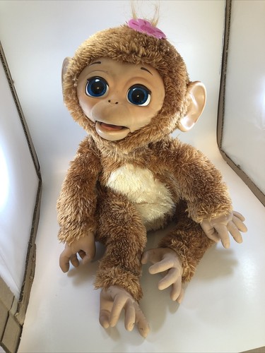 fur real friends cuddles