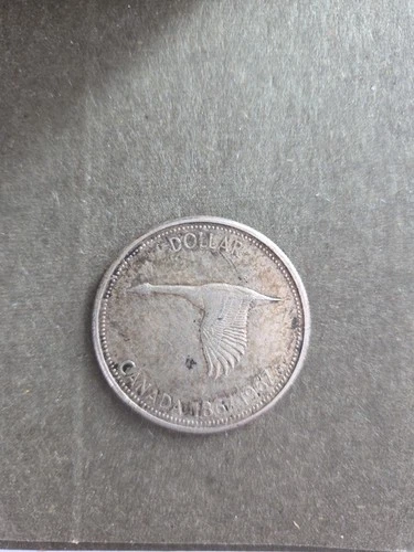 1967 Canadian Silver Dollar Circulated Ungraded Uncertified