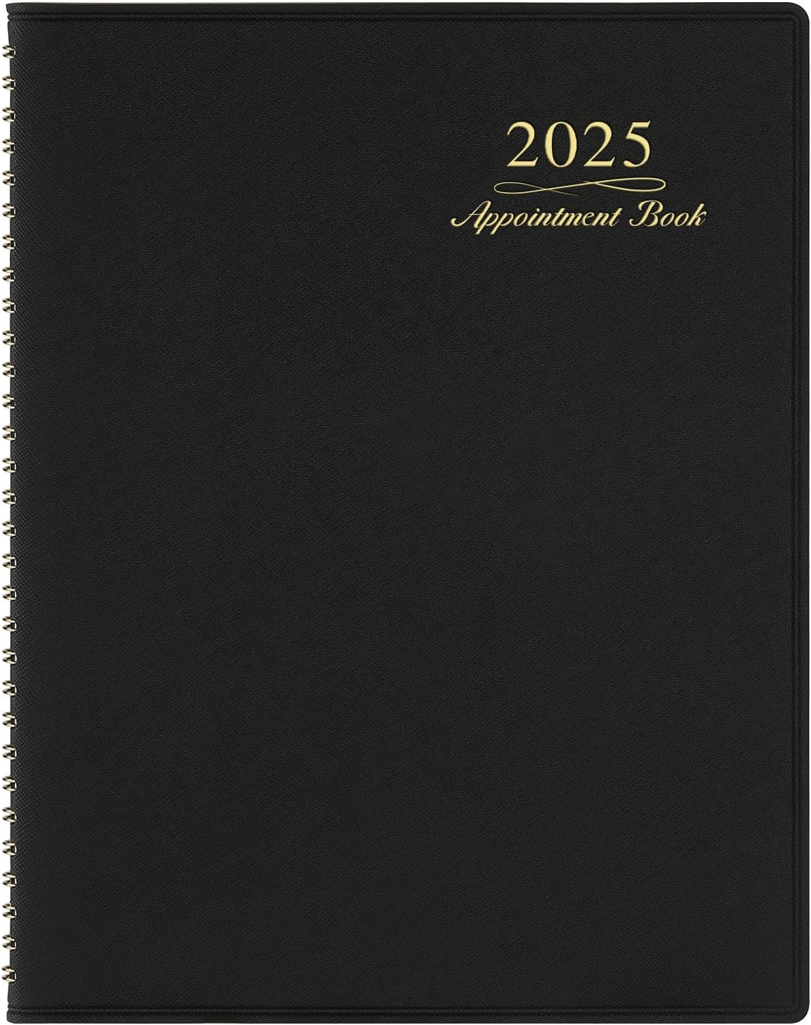 2025 Weekly Appointment Book - Appointment Book 2025, Jan 2025 - Dec 2025, Daily