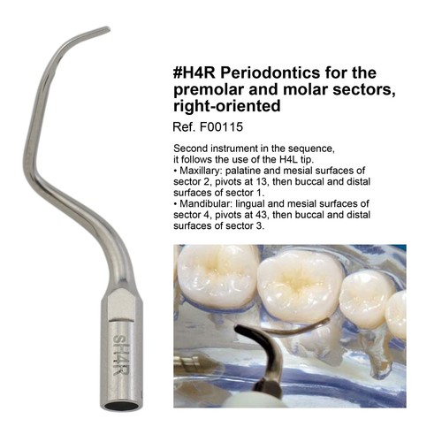 Escalador ultrasónico dental puntas periodontales H3 H4L para Satelec Acteon P5 Newtron - Imagen 32 de 39