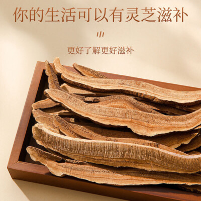 250g Natural Wild Red Reishi Lingzhi Mushroom Herbal Detox Tea