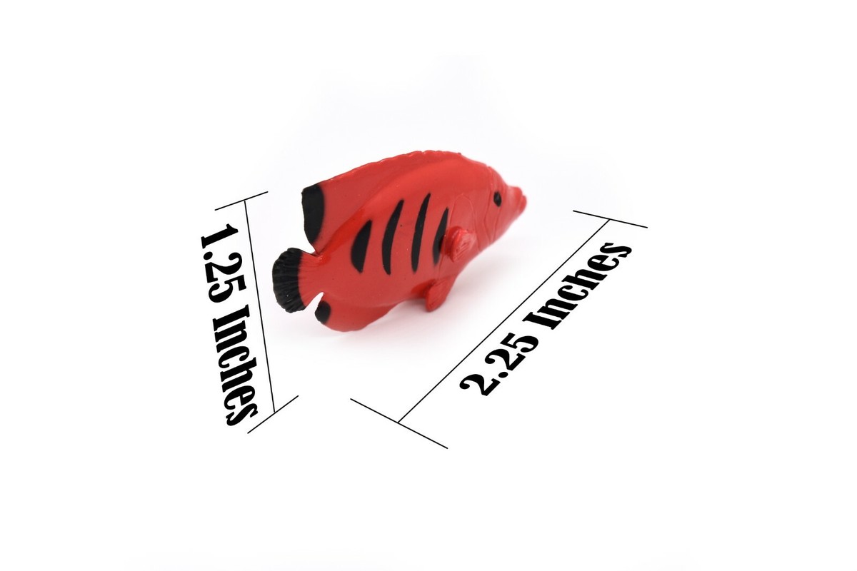 JEKCA Flame Angelfish Building Blocks - 610+ Piece Plastic Fish Model For Ages 14+