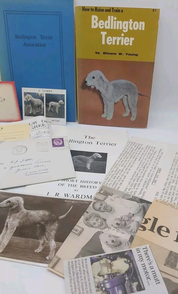 Bedlington Terrier 1974 Association Handbook Postcard Card Advertising Ephemera - Image 3 of 3