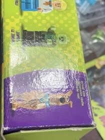 LEGO Scooby-Doo: The Mystery Machine (75902)