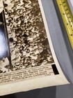 1942 Philadelphia Athletics Bench Hal Wagner Cleveland Indians Press Photo — photo 4