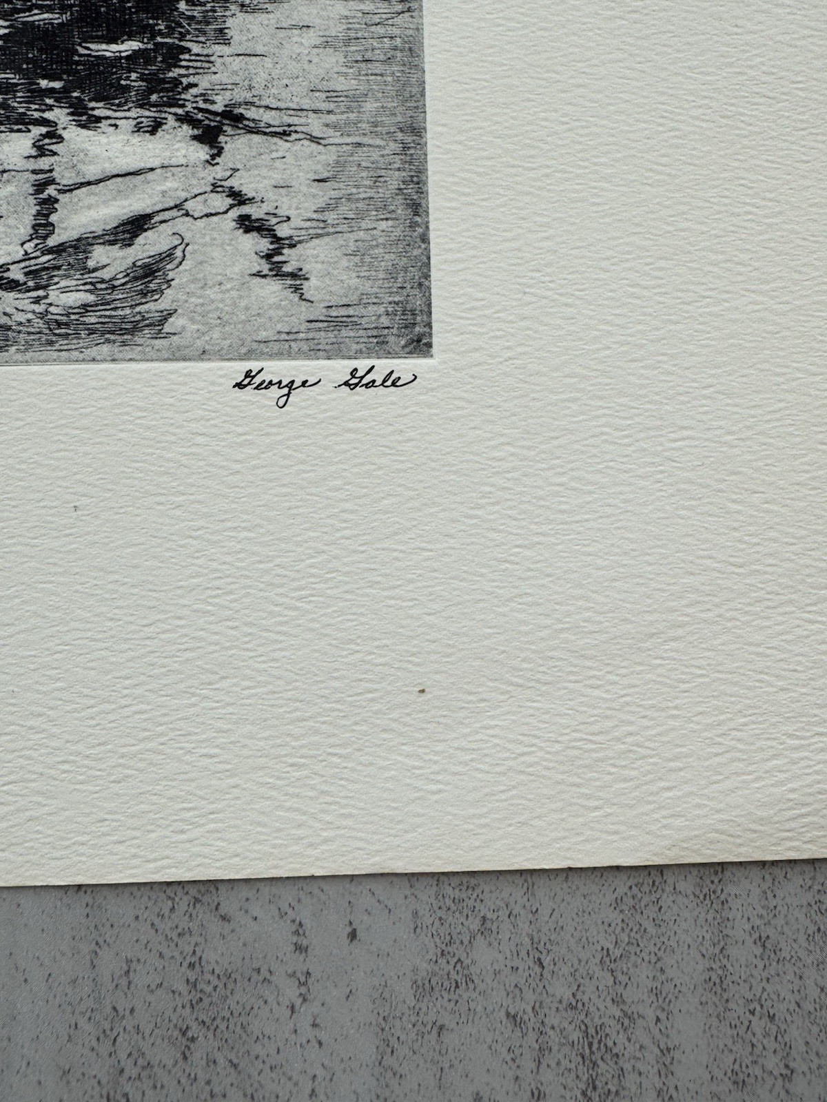 Picture 8 of 8