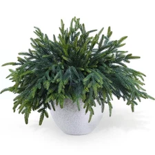 24 Pcs Pine Branches - Real Touch Artificial Pine Stems - Christmas Greenery ...