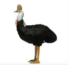 Adult Cossawary Bird 29.53" H originally 200