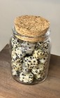 Dalmatian Jasper Polished Tumbles - Clear Glass Jar Included  — photo 4