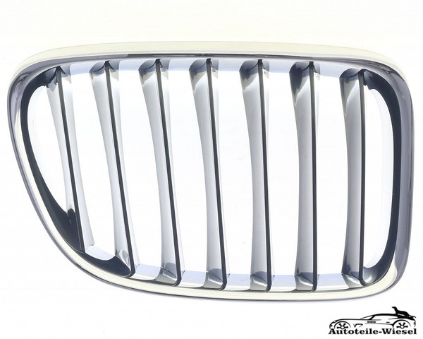 KüHlergrill Gitter FüR BMW X1 Rechts Vorne 09-15-image