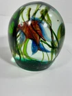VTG CENEDESE Murano Aquarium Paperweight Fish Riccardo LICATA Magnum