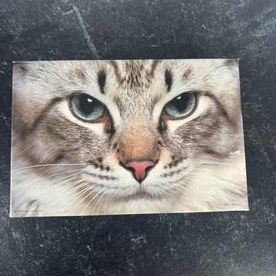 Springbok Mini puzzle Tabby Cat What s Mew 100 pieces Vintage PZL4740~SEALED