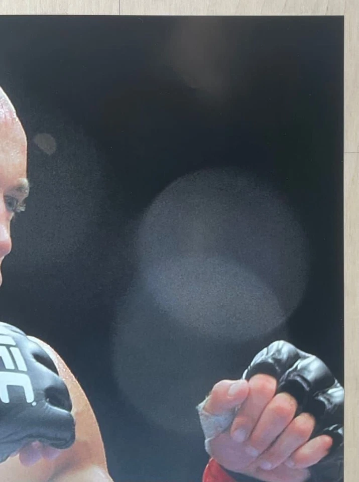 Póster de lucha libre Georges St-Pierre UFC campeón de peso welter 24 x 36 Foto 3 de 4