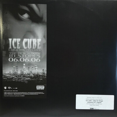 Ice Cube - Why We Thugs (12'', Promo)