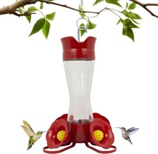 Elegant Glass Hummingbird Feeder with Ant Moat  Bee Guards - 8 Ounce Capacity