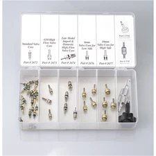 FJC VALVE CORE ASSORTMENT