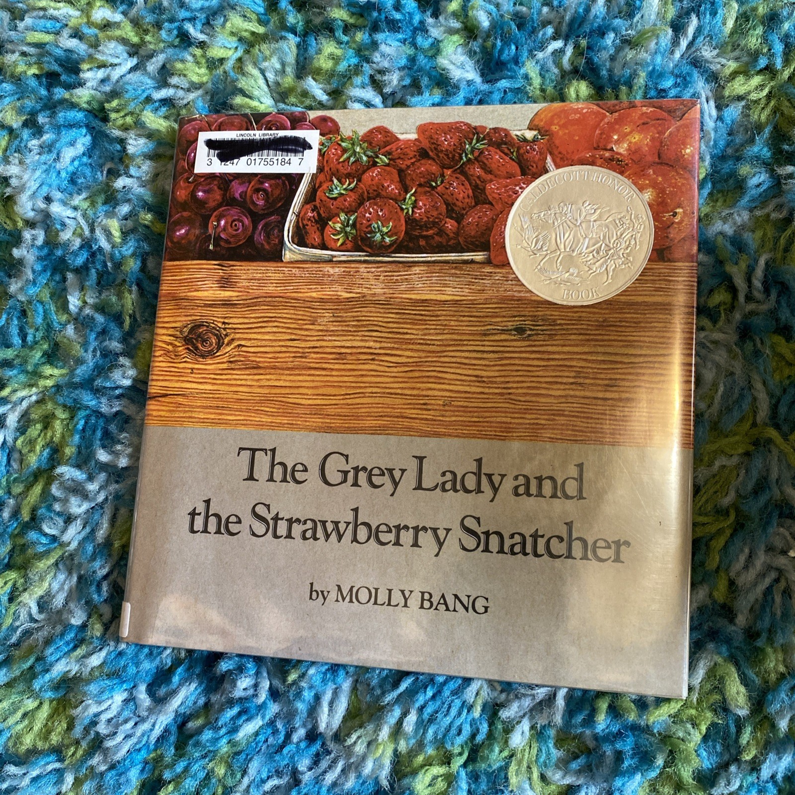 Grey Lady and the Strawberry Snatcher by Molly Bang (1984, Picture Book)