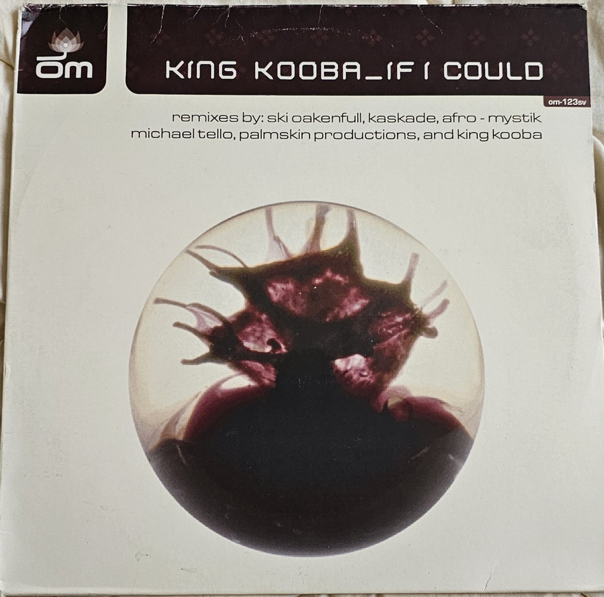King Kooba – If I Could 12