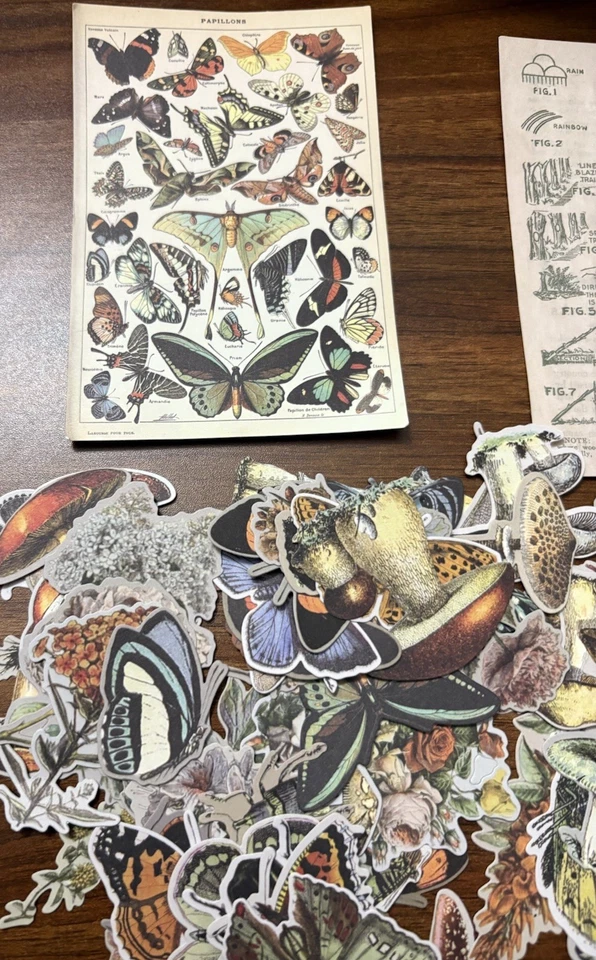 60 Pieces New Scrapbook Cutouts Woodland Butterflies Flowers Mushrooms - Image 2 of 4