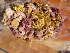 Dried Chrysanthemum Petals – Natural Botanical Craft Supply