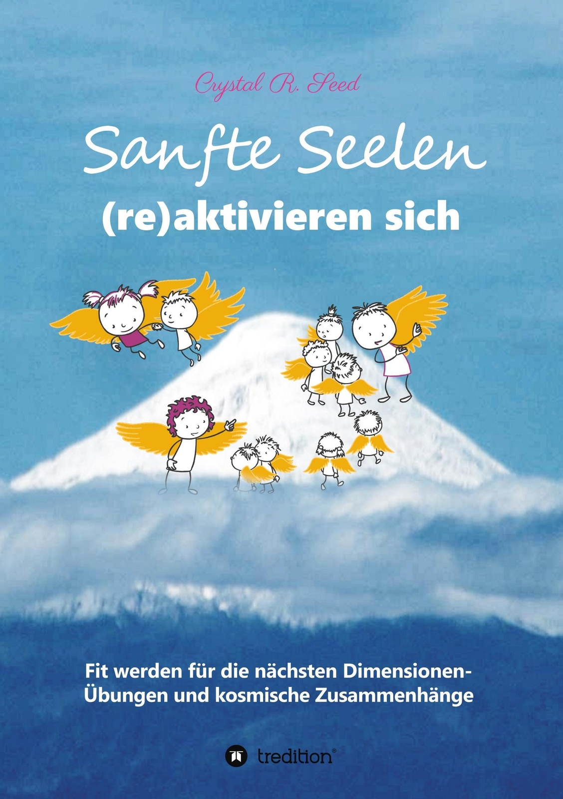 Sanfte Seelen (re)aktivieren Sich Crystal R. Seed Taschenbuch