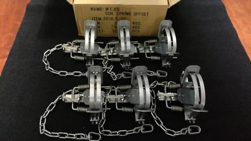 6 Bridger 1.65 off set coil spring trap trapping fox coyote raccoon survival 