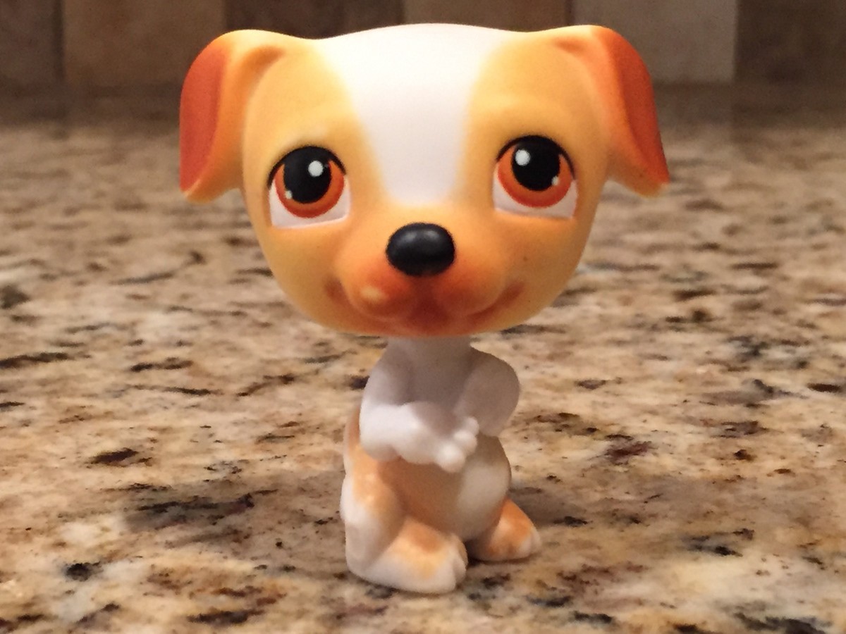 lps jack russell