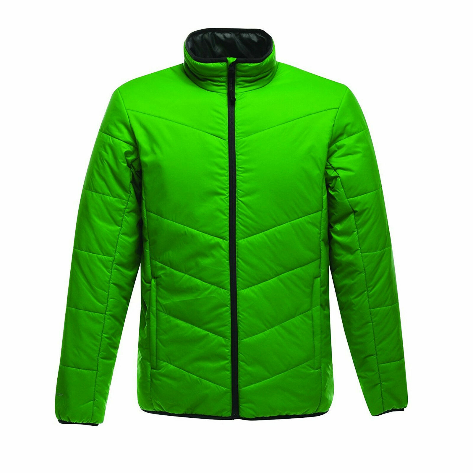 Regatta Mens Icefall Jacket Showerproof 