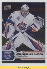 2017-18 Upper Deck AHL Silver Foil Christopher Gibson #88 READ 19pt