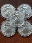 5x 2016 American Silver Eagle $1 Coins BU 1 oz .999 Silver ASE Lot w/ Capsules — photo 1