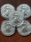 Lot (5) BU American Silver Eagles 1oz .999 Random Year 2014  2016 with capsules